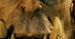 Box office USA: "Warcraft": klęska w USA, spektakularny sukces w Chinach [PODSUMOWANIE]