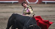 11-letni toreador zabił sześć byków
