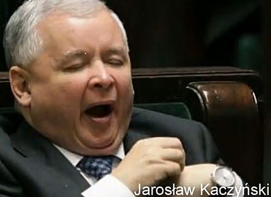 Śpiący Tusk i ziewający Kaczyński - zobacz wideo