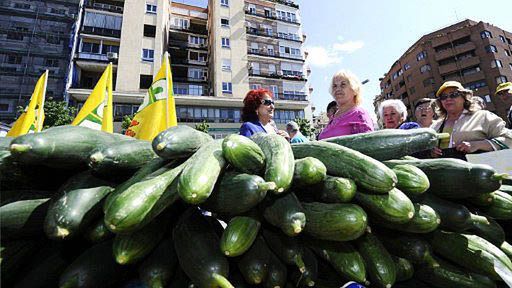 Rozdali za darmo tony warzyw, chętnych nie brakowało