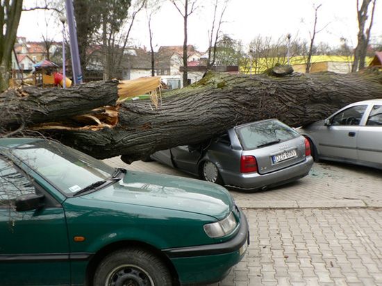 Niszczycielskie wichury nad Polską - sześć osób rannych