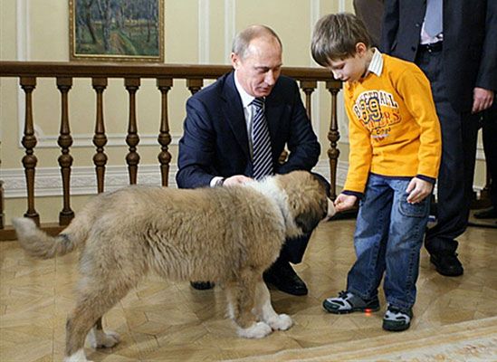 Pięciolatek wybrał imię dla psa Putina