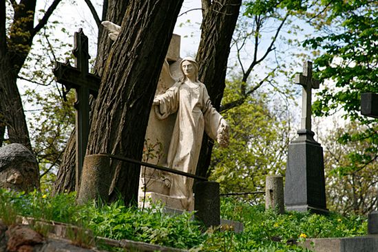 Wielkie sprzątanie starego polskiego cmentarza