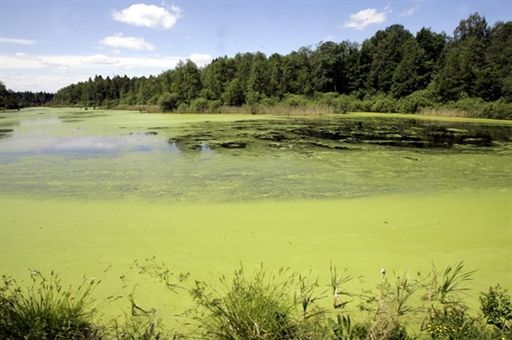 Greenpeace kontynuuje protest; ekolodzy spali na dachu