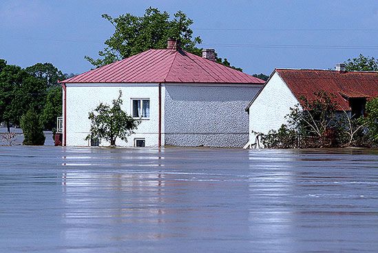 Burmistrz Gąbina proponuje przesiedlić powodzian