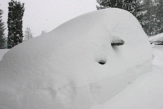 Sypało całą noc - fatalne warunki na drogach