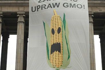 Ekolodzy na budynku ministerstwa: zakazać GMO!