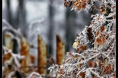 "W tym tygodniu czeka nas lekka zima"