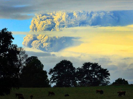 Wybuch wulkanu Puyehue - ewakuowano 3,5 tys. ludzi
