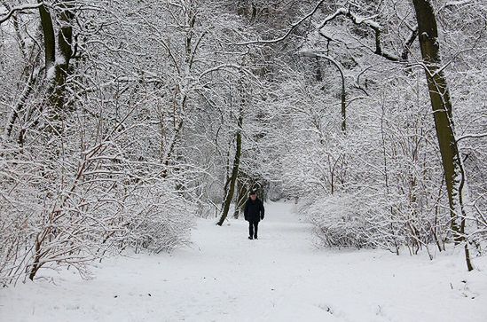 Prognoza pogody- co przyniosą najbliższe dni