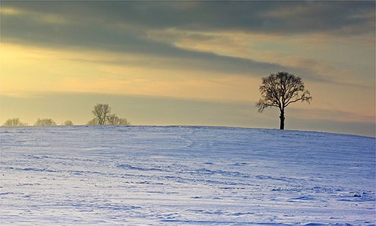 Wracają arktyczne mrozy? Sprawdź prognozę pogody