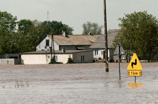 Przezorny, nie zawsze dobrze ubezpieczony