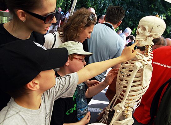 Jak sterować piłką za pomocą fal mózgowych?