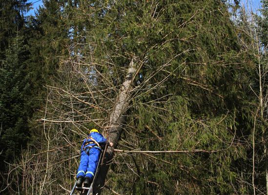 Meteorolodzy ostrzegają: w nocy będzie silny wiatr