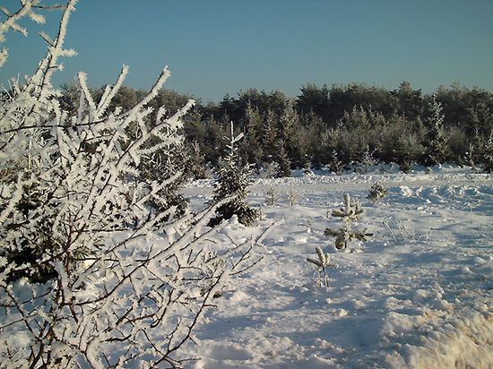 Uwaga: silny wiatr, śnieg i szklanka na drogach