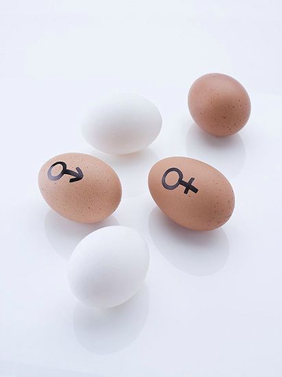Zapach zgniłych jaj działa na potencję jak viagra