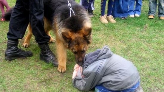 Żółwik - to według policji najbezpieczniejsza postawa dziecka wobec atakującego psa