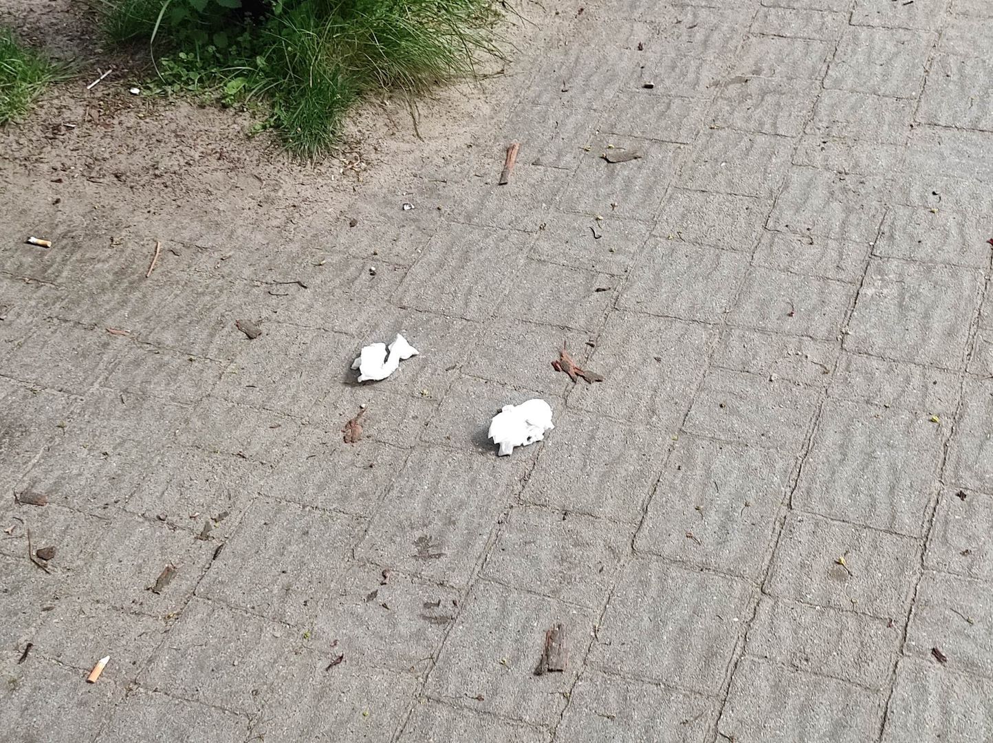Pozostałości w parku Żeromskiego