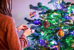 Jak nie polskie, to jakie? Choinkowe żniwa trwają. Ceny przed świętami