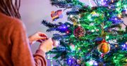 Jak nie polskie, to jakie? Choinkowe żniwa trwają. Ceny przed świętami