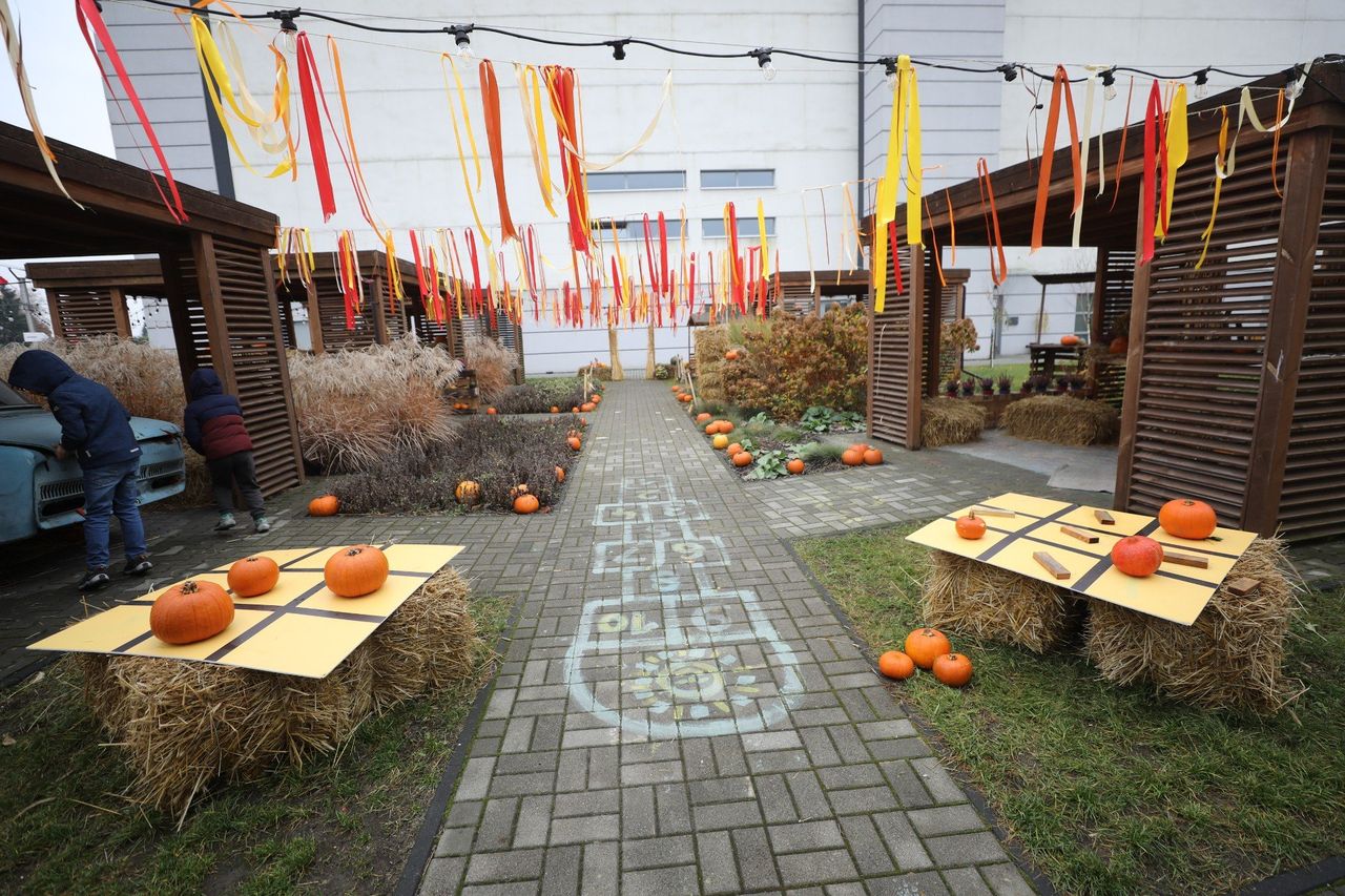 Będzin: Dyniowa Przystań, a raczej to co z niej zostało. Tak prezentuje się teraz sezonowa atrakcja Zagłębia