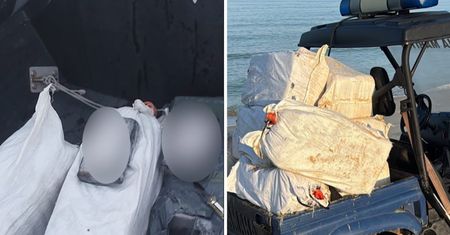 Ocean wyrzucił tajemnicze paczki. Znaleźli je w popularnych kurortach