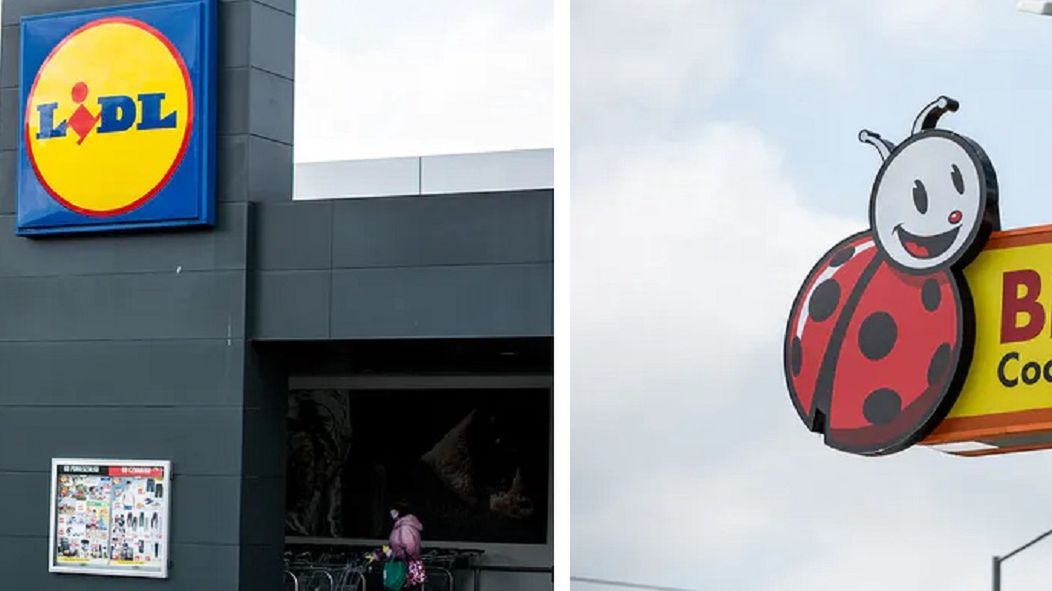 Lidl; Biedronka; dyskonty; sklep