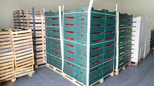 Rolnicy i przetwórcy apelują o twarde "stop" dla nowych regulacji