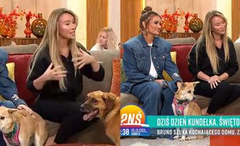 Gwiazdy świętują z nami Dzień Kundelka w "PnŚ". Opowiedziały o swoich pupilach: "Uratowałam ją. Przyjechała z Korei, miała dużą traumę"