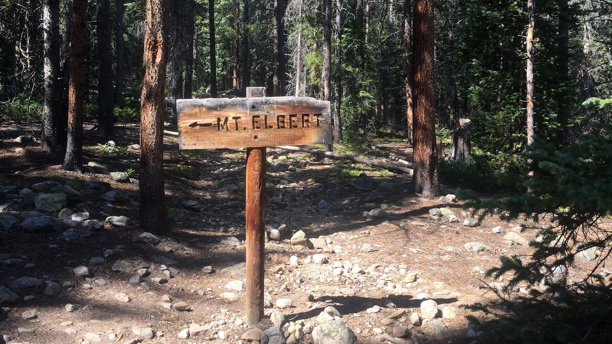 Mt Elbert near Leadville, Colorado is Colorado's highest 14'er.
GOLDEN, CO - JULY 30: A sign pointing towards the Mt. Elbert trail stands near the intersection of the Colorado Trail and the trail to the top of Mt. Elbert  on July 30, 2016. Mt. Elbert is the highest point in Colorado and the second highest mountain in the lower 48 states.  Mt. Elbert tops out at 14,400 feet only 12 feet taller than Mt. Massive, it's neighbor to the north. On the North Elbert trail, one of the more popular routes to the summit, the trail is 9 miles round trip and the elevation gain is 4,700 feet. (Photo by Helen H. Richardson/The Denver Post via Getty Images)
Helen H. Richardson