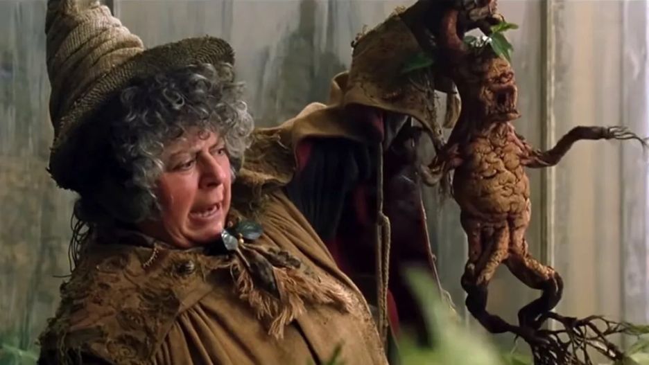 Miriam Margolyes w "Harrym Potterze" wcielała się w profesor Sprout 