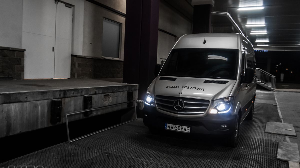 Zdjęcie ilustracyjne do artykułu