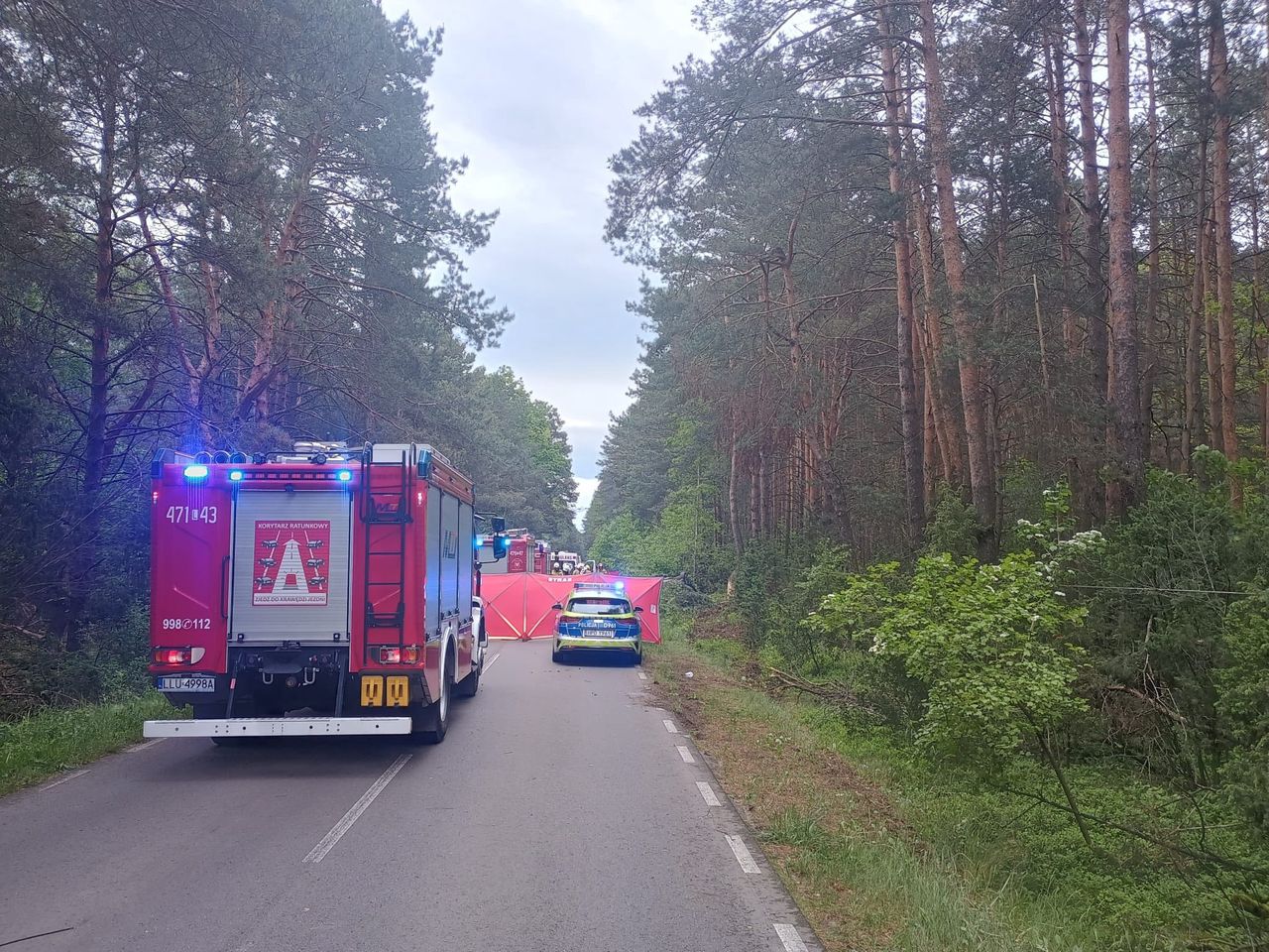 Tragiczny wypadek. Auto zderzyło się z łosiem, dwie osoby zginęły