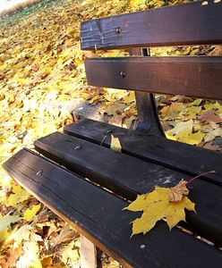 Złota polska jesień