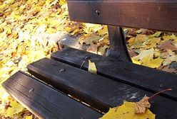 Złota polska jesień