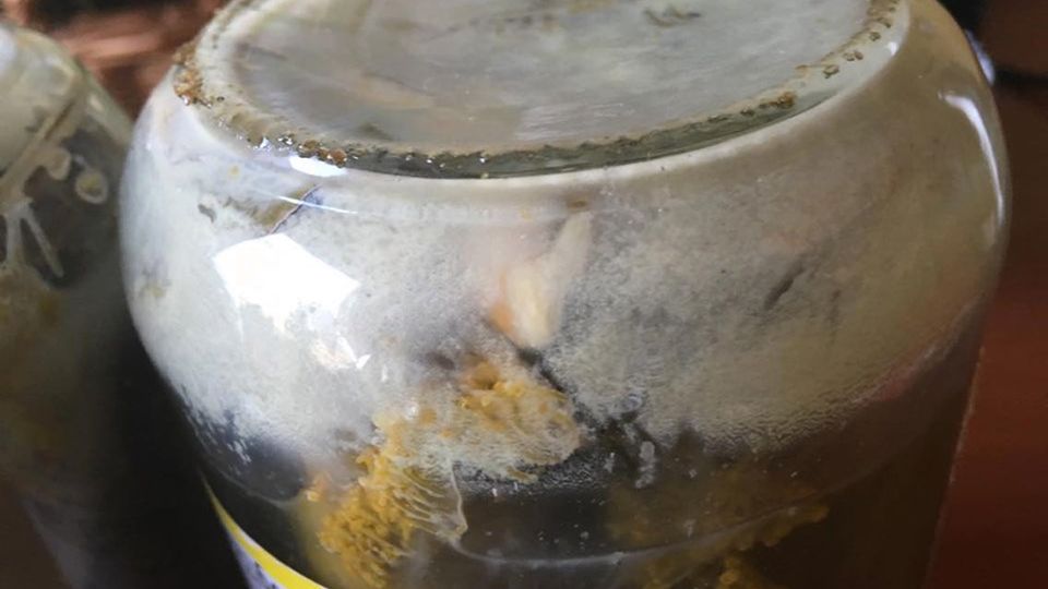 Nalot na ogórkach kiszonych to kwas mlekowy