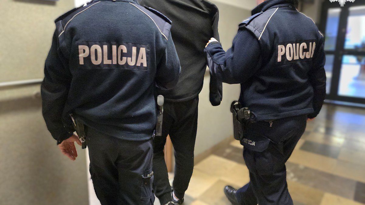policja