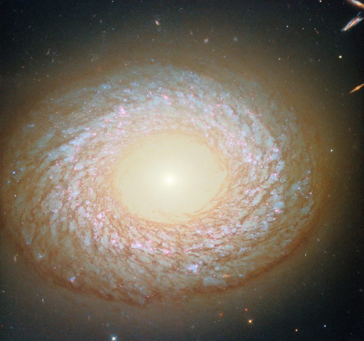 Tajemnicza galaktyka NGC 2775. Nie jest spiralna, ani eliptyczna