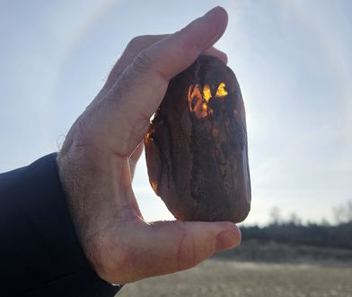 Całymi nocami siedzieli na wydmach przy ognisku, rano szli na wyprawę. "Zawsze z nadzieją, że wyłowi się niesamowity okaz"