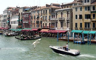 Wenecja tonie. Czy miasto przetrwa?