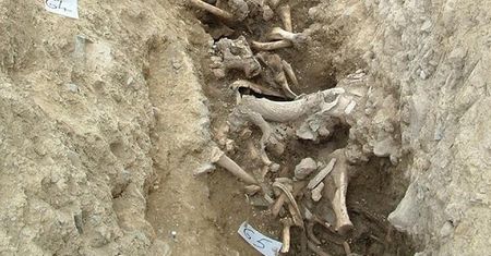 Archeolodzy zadziwieni. To odkrycie może zmienić podręczniki historii