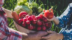 Czy warzywa z miejskich ogródków są bezpieczne? Naukowcy alarmują