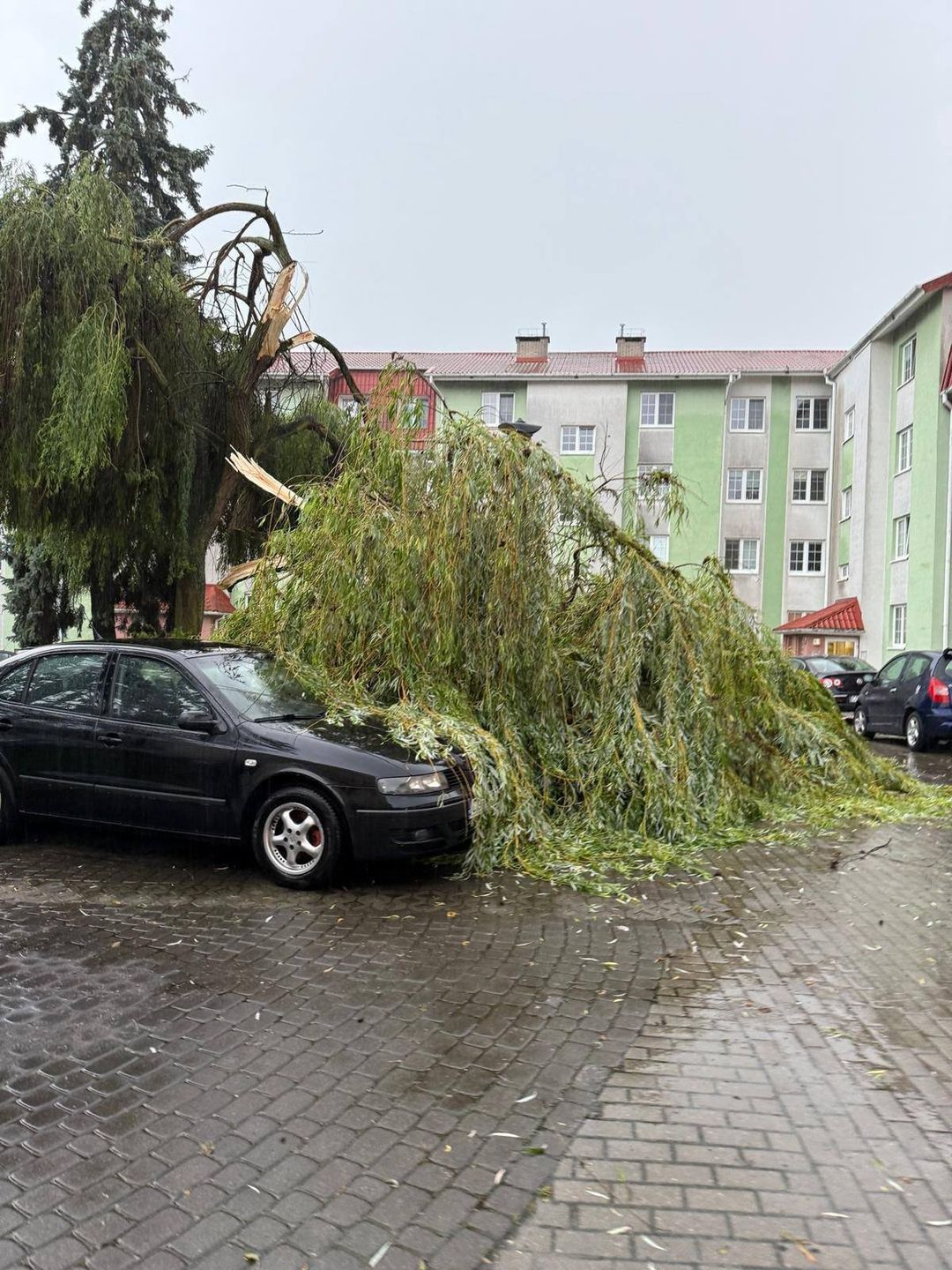 Strażacy z regionu od rana odnotowali kilka interwencji, związanych z frontem atmosferycznym. W Grudziądzu złamany konar drzewa uszkodził kilka zaparkowanych pojazdów