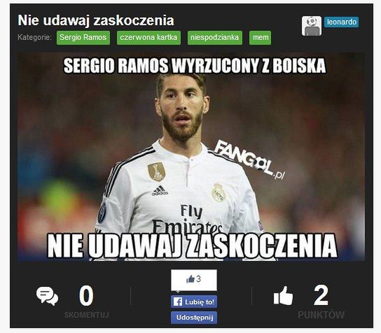 Fot. fangol.pl