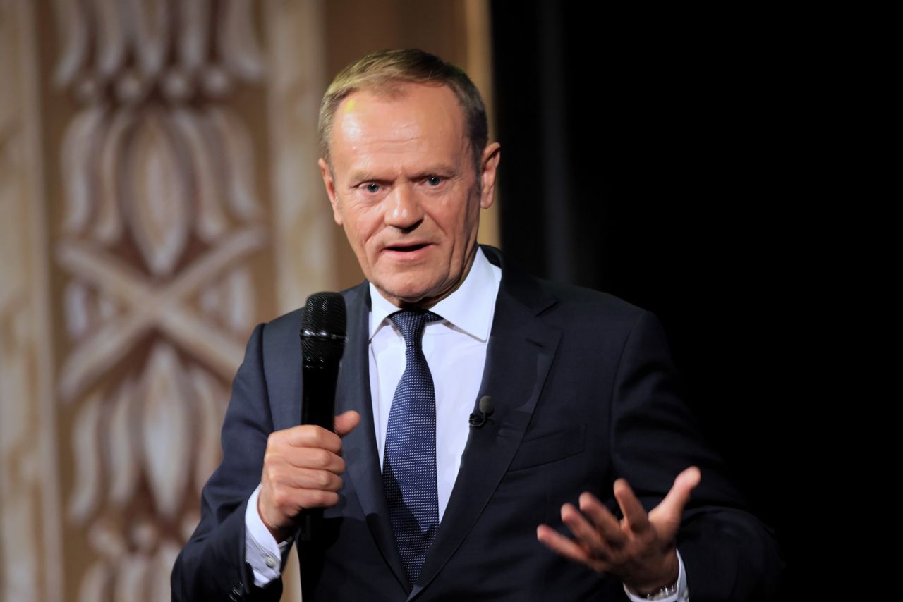 Donald Tusk o sztandarowym projekcie PiS. "Grupa darmozjadów zarządza łąką" 