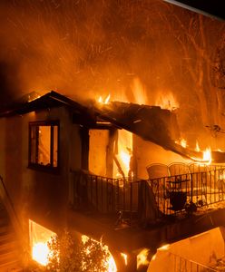 "Powstają gangi". Dramatyczna sytuacja w Los Angeles