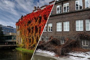 Niezwykłe miejsce w Gdańsku straciło swój czar. Turyści będą zrozpaczeni