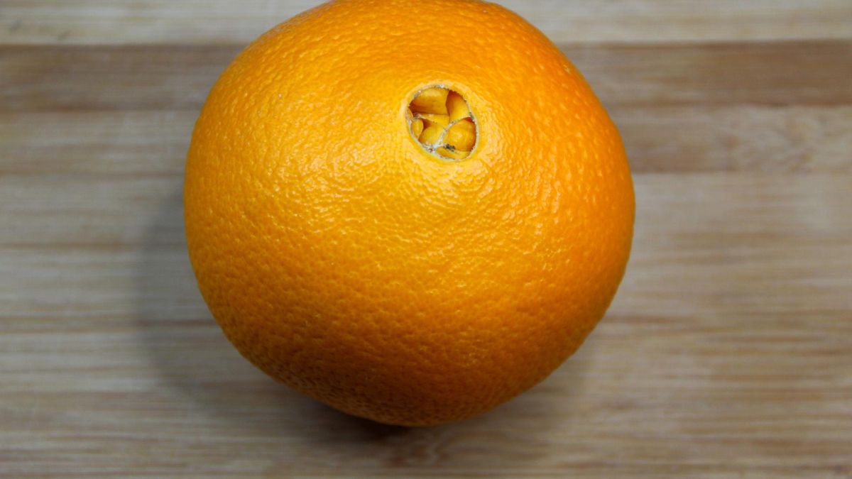 Jak wybrać idealne pomarańcze?