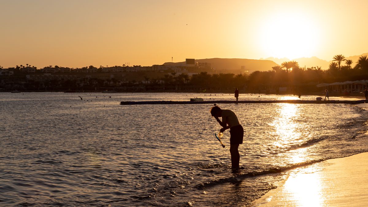 Tourism In Sharm El Sheikh, Egypt
Sunset on the beach of the resort town of Sharm El Sheikh on Red Sea coast in South Sinai, Egypt on November 14, 2022. Sharm El Sheikh is well known for its coral wildlife and oriental atmosphere. (Photo by Dominika Zarzycka/NurPhoto via Getty Images)
NurPhoto
cop27, heatwave, sharm el sheikh, attraction, coast, curort, resort, visitors, red sea coast, resort town, south sinai, coral wildlife, oriental atmosphere, photo
