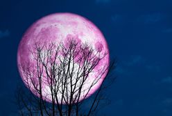 Truskawkowy Księżyc. Czy wiesz jak wpływa na samopoczucie dorosłych i dzieci?